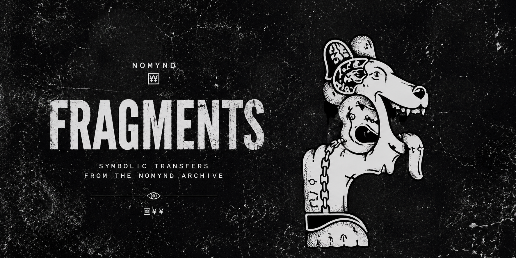 Y¥ Fragments Collection